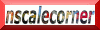 Website von nscalecorner