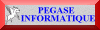 Website von Pegase Informatique