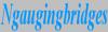 Website von Ngaugingbridges