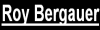 Website von Roy Bergauer