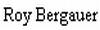 Website von Roy Bergauer