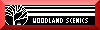 Website von Woodland Scenics