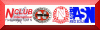 Website von N Gauge Network